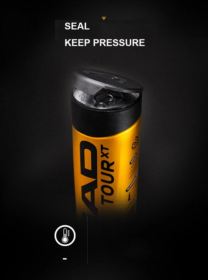 HEAD Professional Tennis Balls