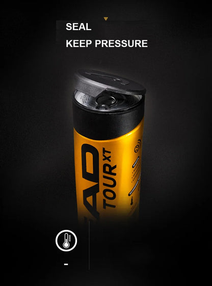 HEAD Professional Tennis Balls