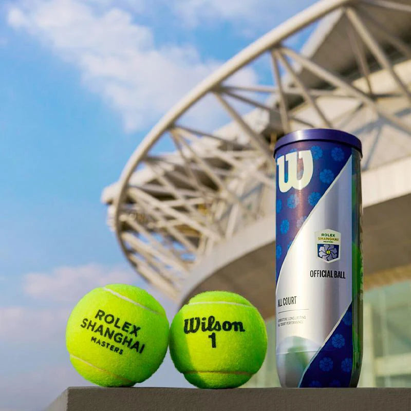 WILSON Professional Tennis Balls